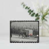 Amish Buggy Monochrome Briefkaart (Staand voorkant)