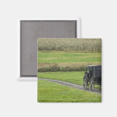 Amish buggy on boerderij lane, noordoost Ohio, Magneet (Voorkant / Achterkant)