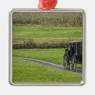Amish buggy on boerderij lane, noordoost Ohio, Metalen Ornament