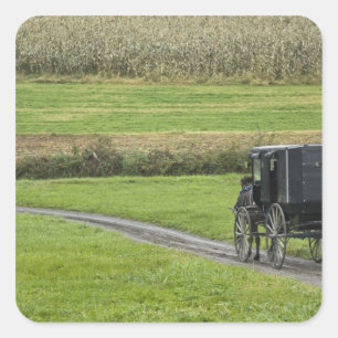 Amish buggy on boerderij lane, noordoost Ohio, Vierkante Sticker