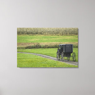 Amish buggy op landweg, Noordoost Ohio, Canvas Afdruk