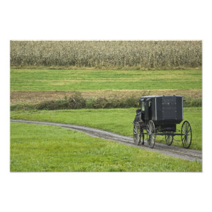 Amish buggy op landweg, Noordoost-Ohio, Foto Afdruk