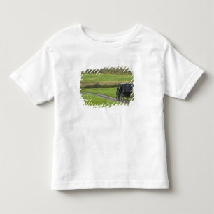 Amish buggy op landweg, Noordoost-Ohio, Kinder Shirts