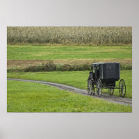 Amish buggy op landweg, Noordoost-Ohio,