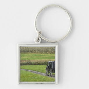 Amish buggy op landweg, Noordoost-Ohio, Sleutelhanger