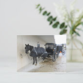 Amish Buggy op Pennsylvania Market Briefkaart (Staand voorkant)