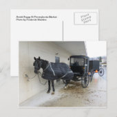 Amish Buggy op Pennsylvania Market Briefkaart (Voorkant / Achterkant)
