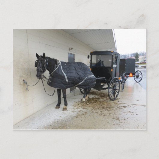 Amish Buggy op Pennsylvania Market Briefkaart (Voorkant)