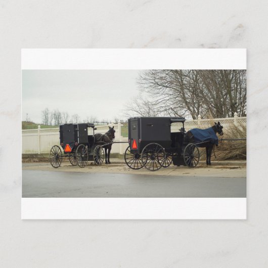 Amish Buggy "Parking Lot" Briefkaart (Voorkant)