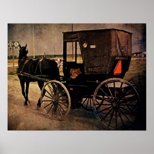 Amish Buggy Poster (Voorkant)