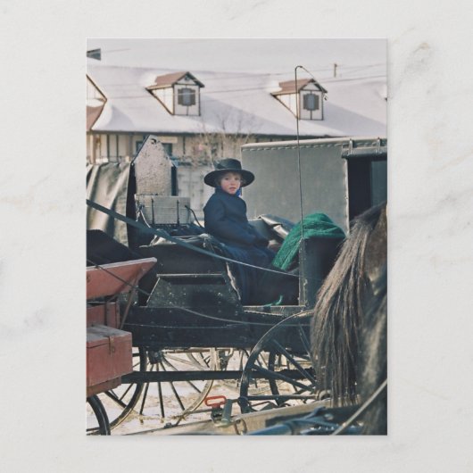 Amish Child in Buggy-Briefkaart Briefkaart (Voorkant)