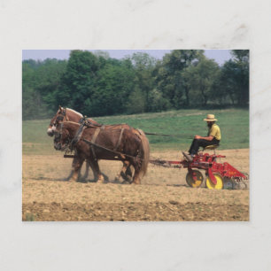 Amish Country eenvoudige mensen in de landbouw met Briefkaart