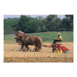 Amish Country eenvoudige mensen in de landbouw met Foto Afdruk