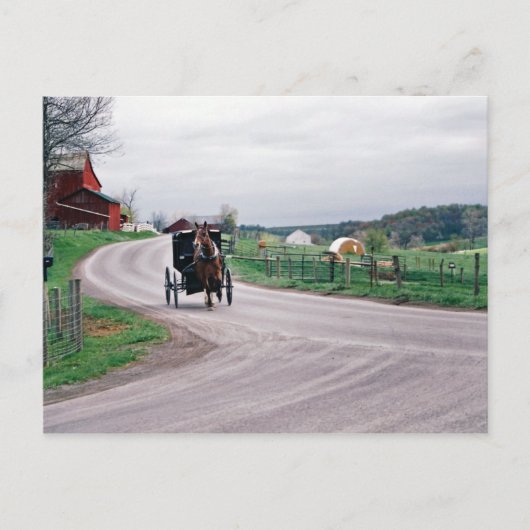 Amish Country Road Briefkaart (Voorkant)