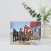 Amish Draft Horse Team-Briefkaart Briefkaart (Staand voorkant)