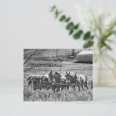 Amish Draft Team at Work Briefkaart (Staand voorkant)