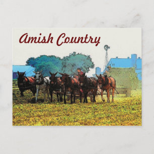 Amish Farming Briefkaart
