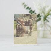 Amish Flower Delivery Briefkaart (Staand voorkant)