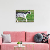 Amish Goat Canvas Afdruk (Insitu (Woonkamer))