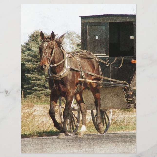 Amish Horse and Buggy (Voorkant)