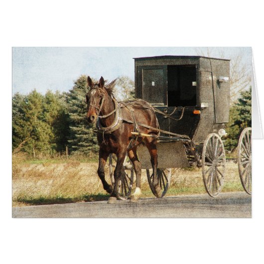 Amish Horse and Buggy (Voorkant Horizontaal)