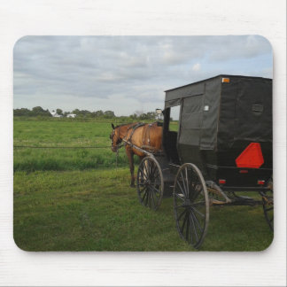Amish Horse and Buggy at Sunset Muismat