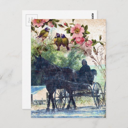 Amish Horse and Buggy Birdie Texture Briefkaart (Voorkant / Achterkant)