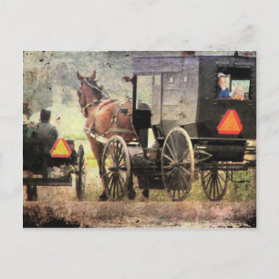 Amish Horse and Buggy Briefkaart