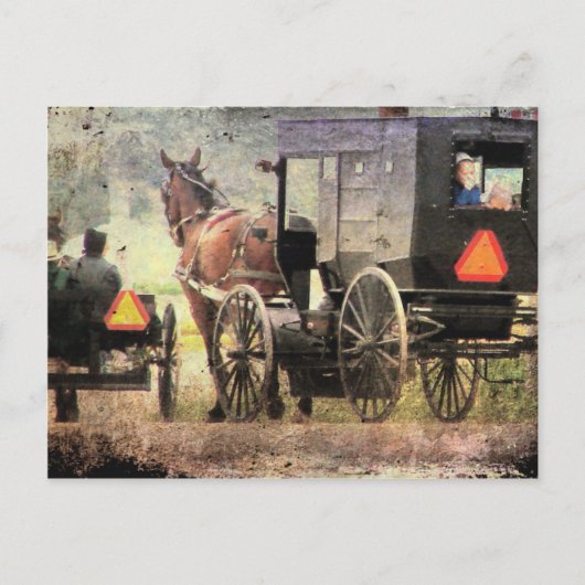 Amish Horse and Buggy Briefkaart (Voorkant)