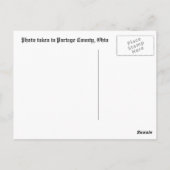 Amish Horse and Buggy Briefkaart (Achterkant)