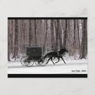 Amish Horse and Buggy Briefkaart