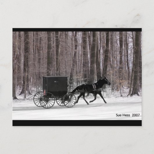 Amish Horse and Buggy Briefkaart (Voorkant)