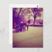Amish Horse and Buggy Briefkaart (Voorkant / Achterkant)