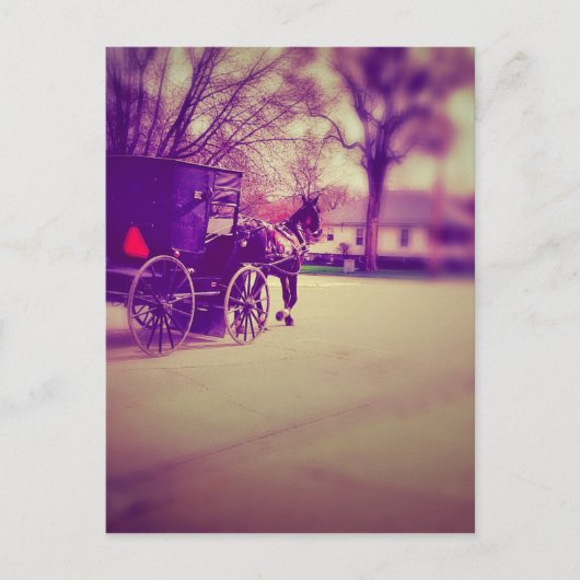 Amish Horse and Buggy Briefkaart (Voorkant)