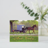 Amish Horse and Buggy, Lancaster, PA Briefkaart (Staand voorkant)