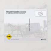 Amish Horse and Buggy, Lancaster, PA Briefkaart (Achterkant)