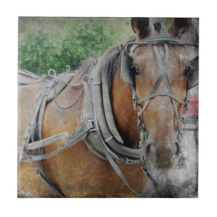 Amish Horse and Buggy Tegeltje