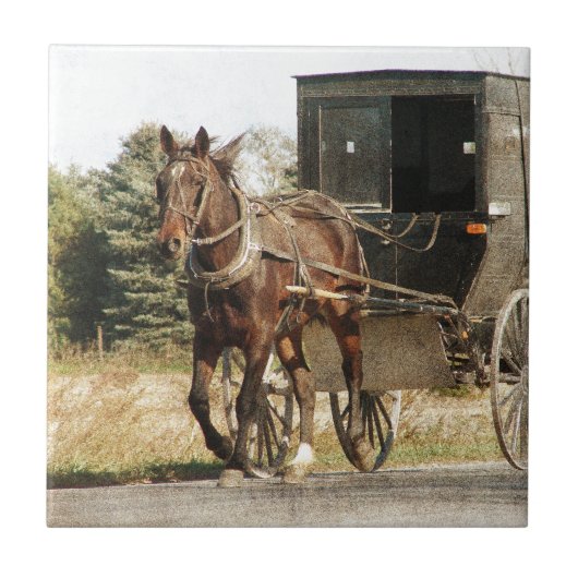Amish Horse and Buggy Tegeltje (Voorkant)
