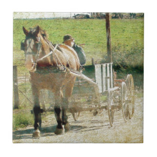 Amish Horse and Cart Tegeltje