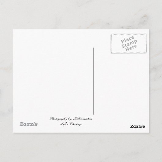 Amish Horse Briefkaart (Achterkant)