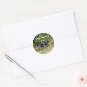 Amish Horse & Buggy Sticker (Envelop)