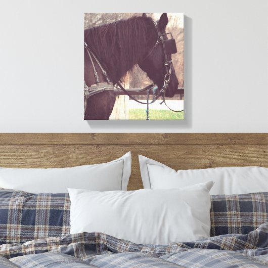 Amish Horse Canvas Afdruk (Insitu (Slaapkamer))