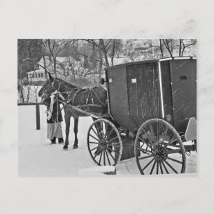 Amish Horse en Buggy-Briefkaart Briefkaart