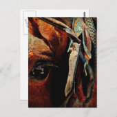Amish Horse Eye Briefkaart (Voorkant / Achterkant)