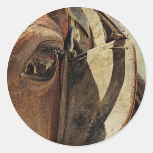 Amish Horse Eye Ronde Sticker (Voorkant)