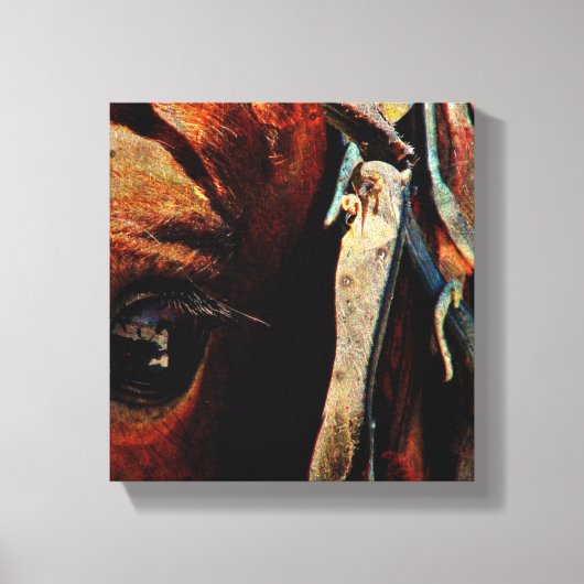 Amish Horse Grunge Canvas Afdruk (Voorkant)