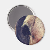 Amish Horse Magneet (Voorkant / Achterkant)