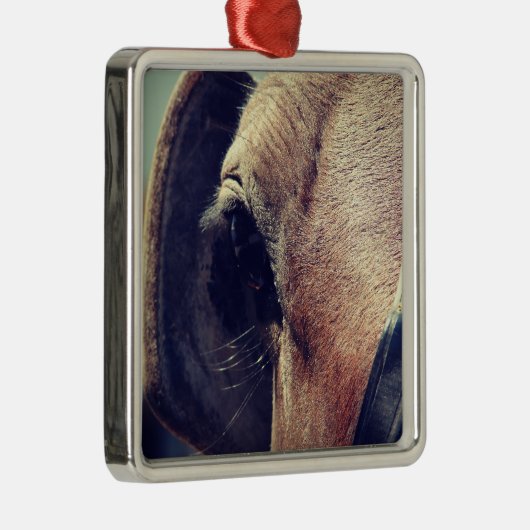 Amish Horse Metalen Ornament (Rechts)