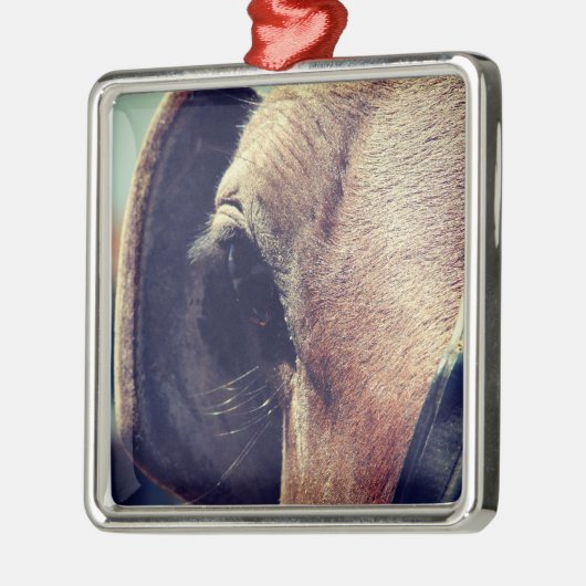 Amish Horse Metalen Ornament (Links)