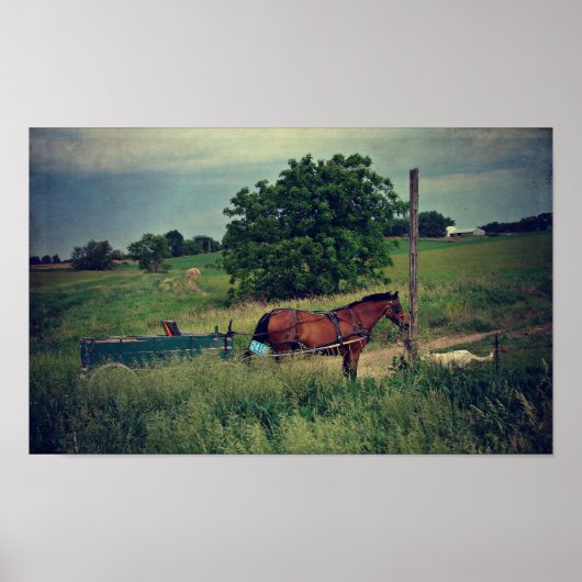 Amish Horse Waiting Poster (Voorkant)